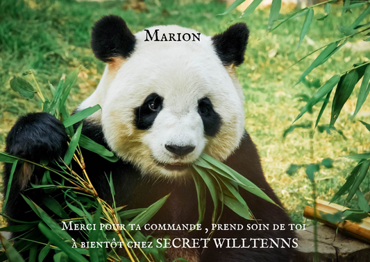 Marion