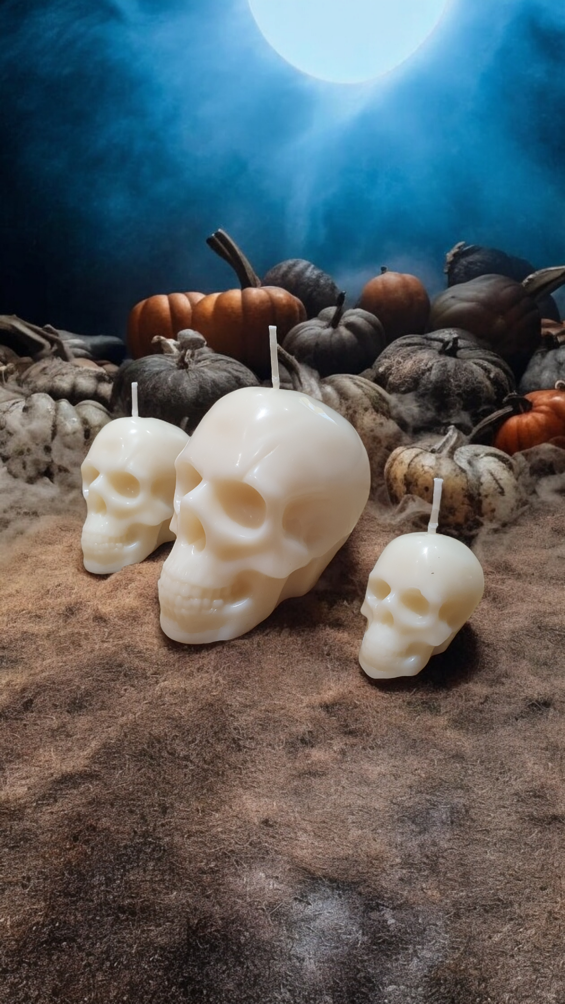 Lot de 3 têtes de morts