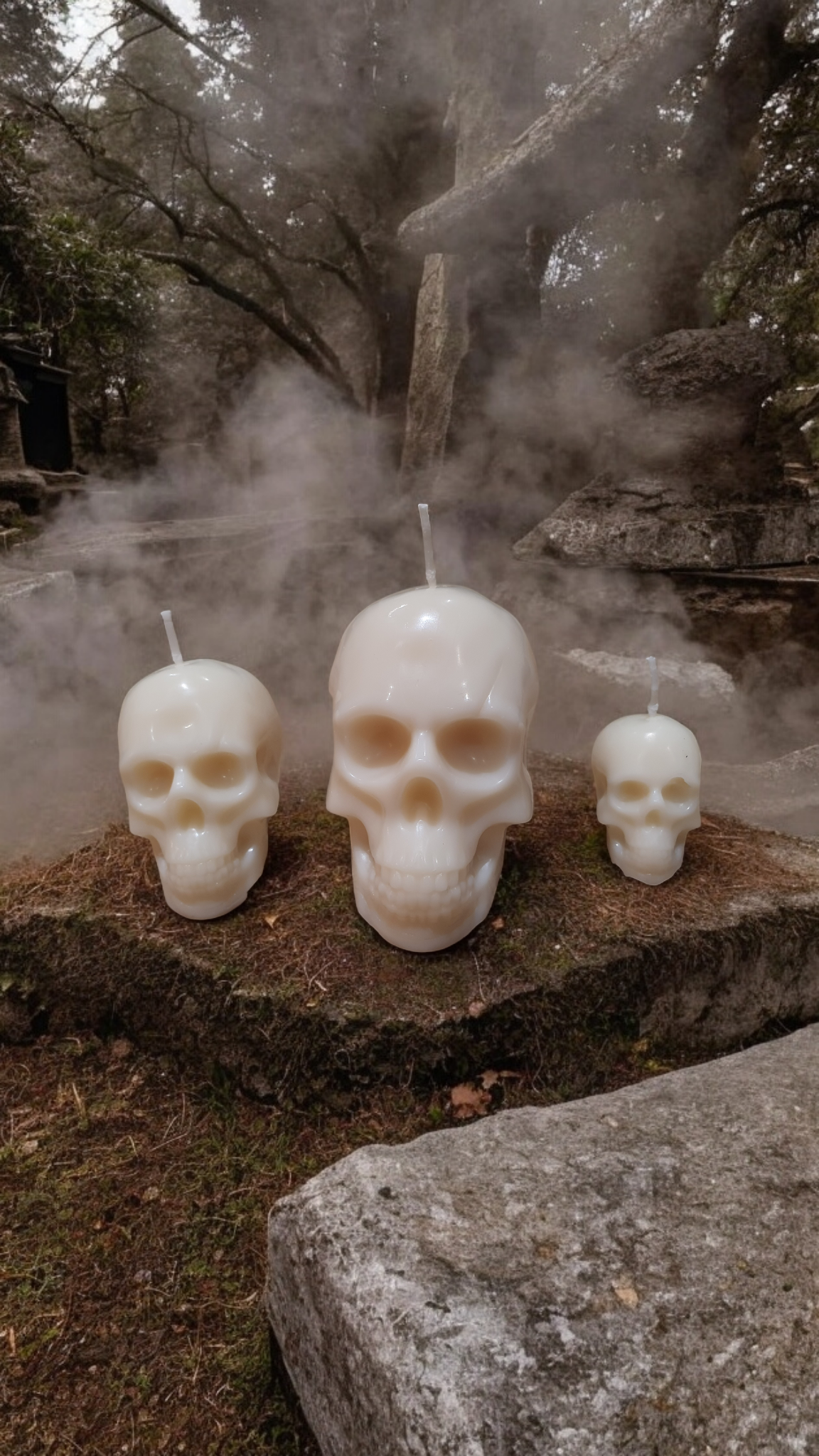 Lot de 3 têtes de morts