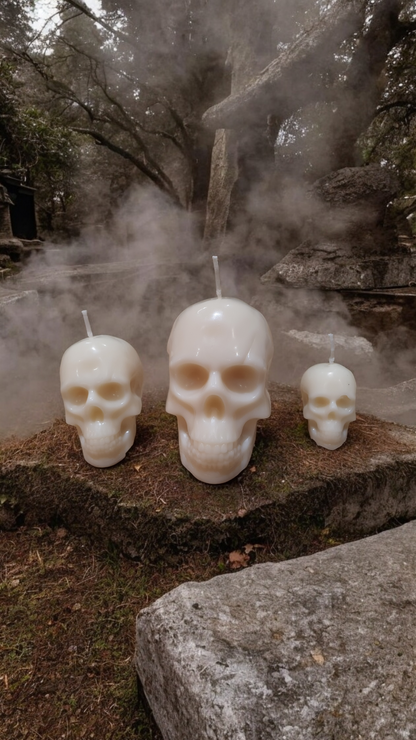 Lot de 3 têtes de morts
