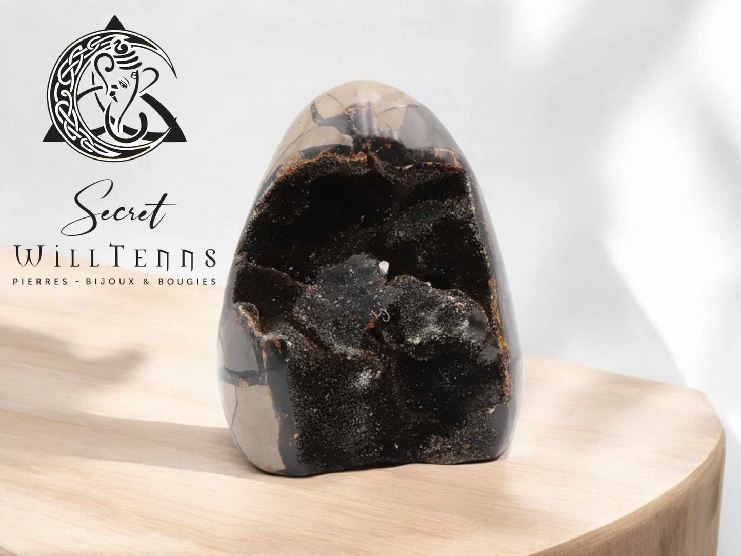 Septaria Forme Libre - Une Pièce Unique de Minéral Brut !
