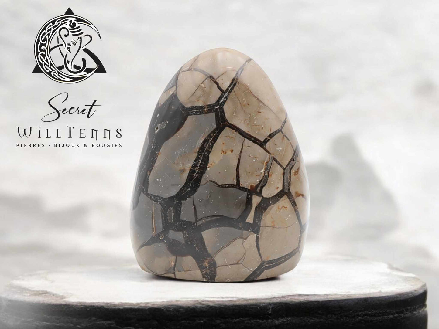 Septaria Forme Libre - Une Pièce Unique de Minéral Brut !