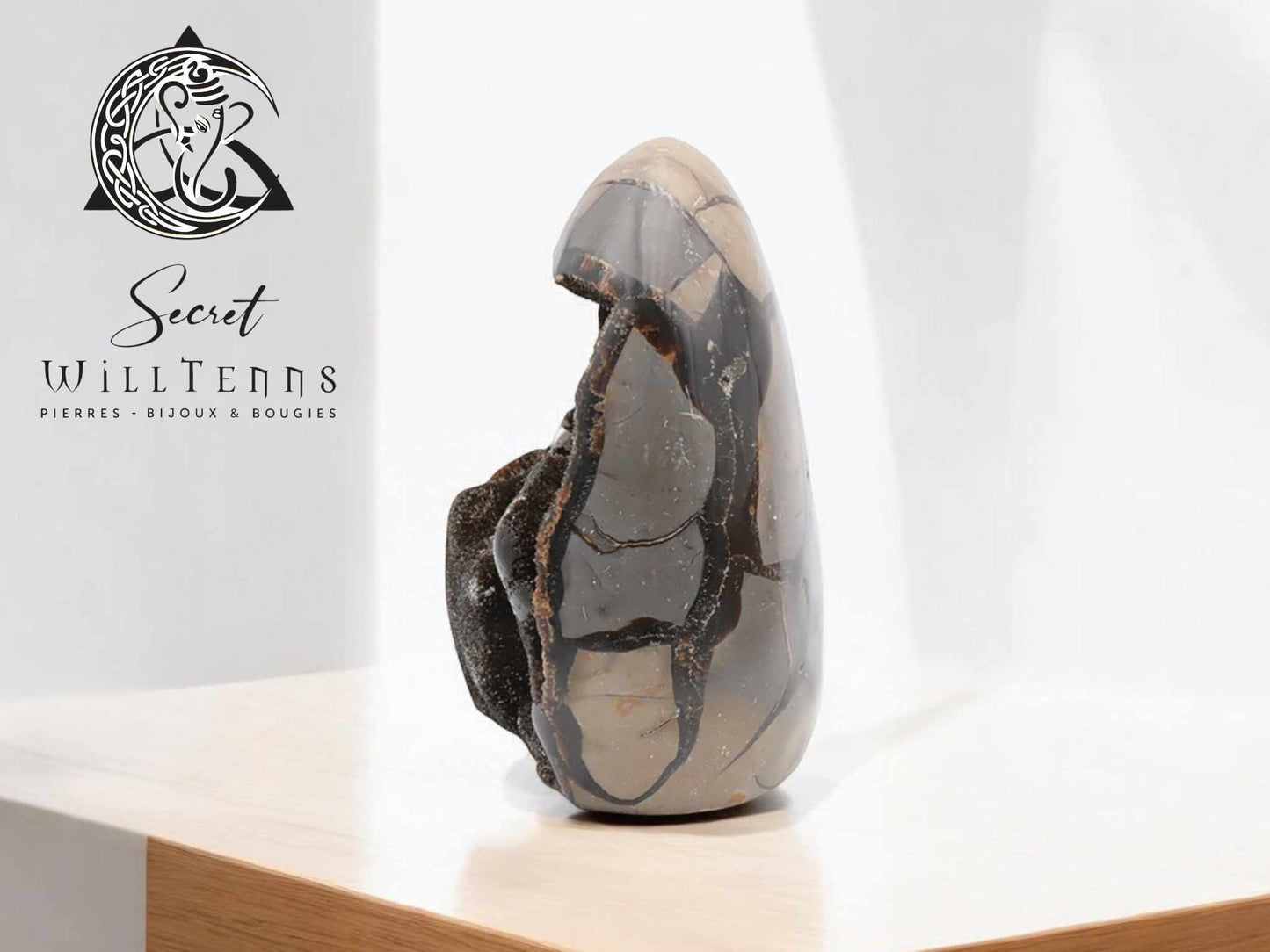 Septaria Forme Libre - Une Pièce Unique de Minéral Brut !